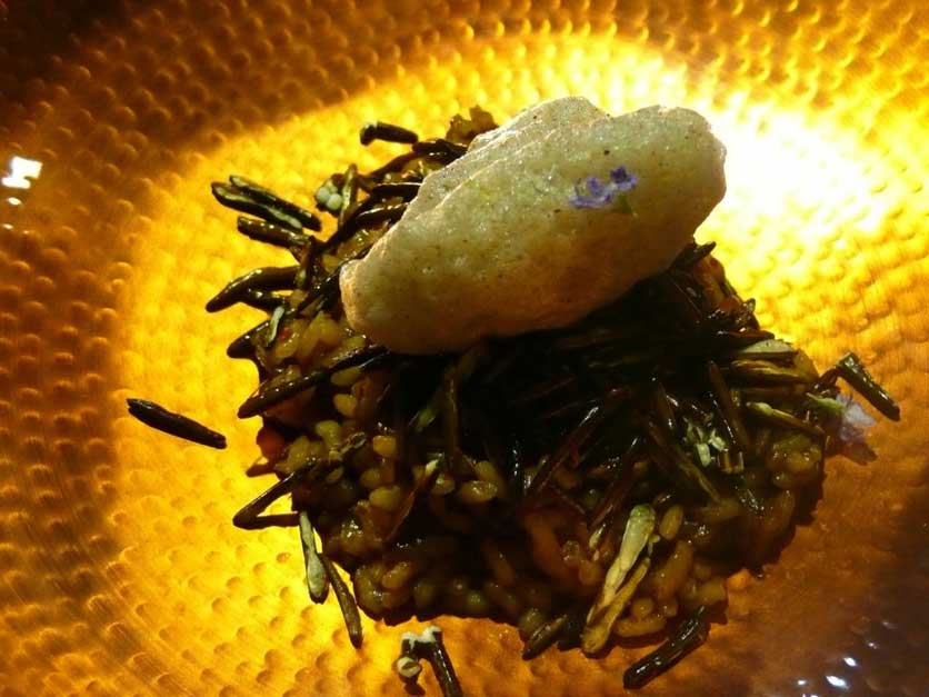 brel-arroz-de-pichón